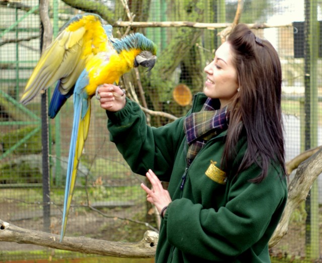 TEACHING YOUR BIRD TO TALK